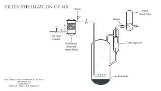 Filter sterilization of air