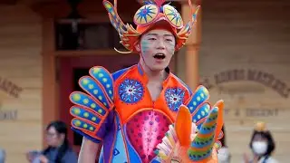 【TDL】ディズニー・ハーモニー・イン・カラー　ダンサーさんメイン　一眼動画【20241014】