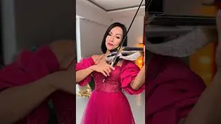 MY WAY - AGNES VIOLIN