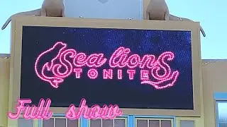 SEA LIONS TONITE , ELECTRIC OCEAN REMIX, SEAWORLD ORLANDO [FULL SHOW 2020]