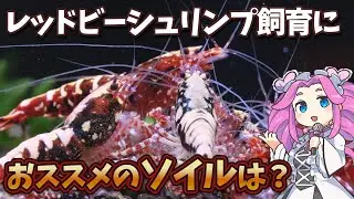 レッドビーシュリンプに最適なソイルって？