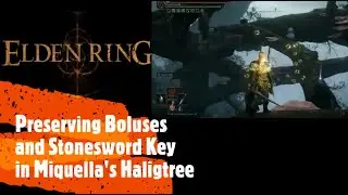 Elden Ring [Preserving Boluses and Stonesword Key in Miquella's Haligtree]