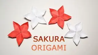 Sakura Paper Origami Flower Tutorial DIY Decoration
