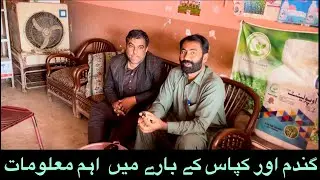 Wheat Crop information | Gandam Par Foliar Spray   | Early cotton discussion | Daily Routine Farmer 