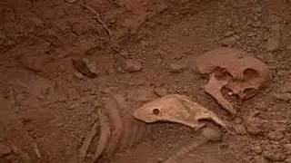 Klaus Dona - Crystal Skulls, Ancient Giants & Forbidden Artifacts ✪ Documentaries Films HD
