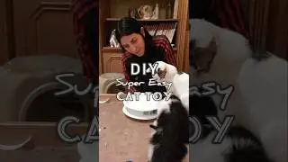 DIY super easy cat toy @yaelmaimonartist #cats #diy #cattoys #play #kittens #marbles