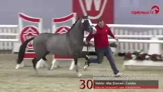 30  Valido - Mac Duncan - Condor