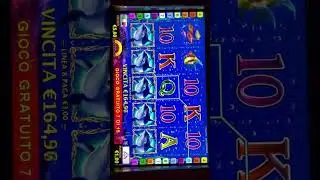 Mega vincita VLT Italia 2023 - 5 Delfini alla Dolphin Pearl Deluxe