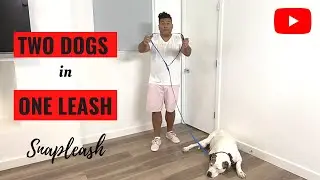 Two Small Dogs in One Leash - Multi-function Leash with Snapleash