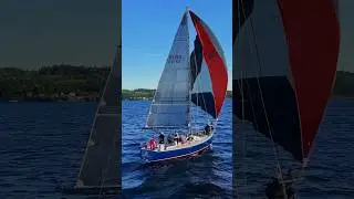 Sailing Race in Puget Sound | Aerial View of Yacht Competition | DJI Mini 4 Drone