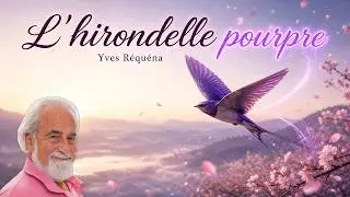 136 - L'hirondelle pourpre - Yves Requena 5