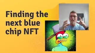 How to find the next Blue Chip NFT