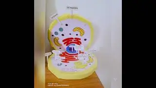 video documentary of botany lab 🧪🧫