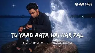 Tu Yaad Aata Hai Har Pal (Slowed + Reverb) | Heart Touching Sad Song | Emotional Love Song 