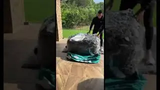 Unboxing LoveSac #Shorts