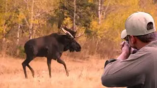 An enjoyable trip hunting moose in the hunting season