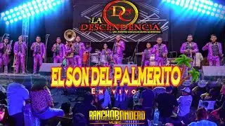 El Son del Palmerito - Banda La Descendencia de chilacachapa (En Vivo) 2022