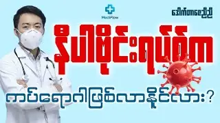 နီပါဗိုင်းရပ်စ်က ကပ်ရောဂါဖြစ်လာနိုင်လား? | ဒေါက်တာဇေညီညီ (MediFlow)