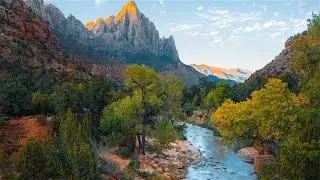 Contemplative Harmony: 2-Hour Loop of Thoughtful Nature Sounds for Serene Sleep and Reflective Study