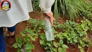 🔴 VIRAL!! A MAN KVB'VR HIS WIFE H1DvP H1DvP AFTER NOT GIVEN MY MONTH