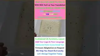Get Color Sorter Machine Core Parts and Control Systems Supplier in Brazil Vietnam Nigeria India UAE