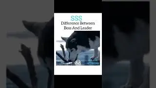 Difference between Boss and Leader  I'm a leader