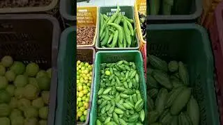 #winter #vegetables #vegetableshorts  #vegetablefarming #vegetableshopping