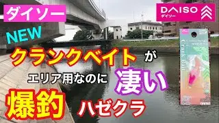 ダイソーNEWクランクベイトが凄い 爆釣100円ハゼクラ 知多半島