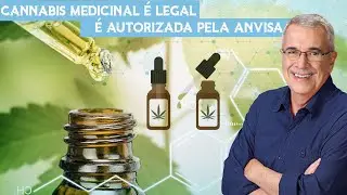 CANNABIS MEDICINAL &Eacute; LEGAL E AUTORIZADA PELA ANVISA