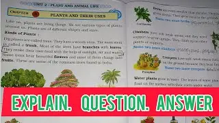 2nd standard unit 2 plant and animal life||chapter number 3 plant and their uses#viral #evs#ssc