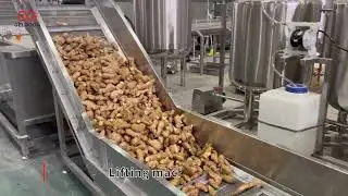 Ginger Powder Processing Line