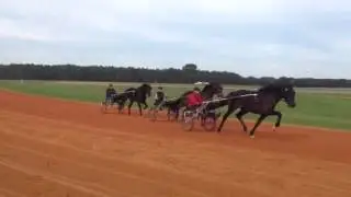 Erv Miller Stable