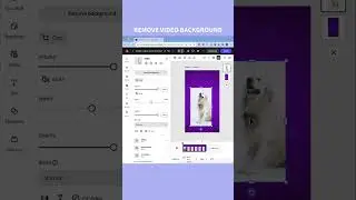 3 features you might've missed in Adobe Express