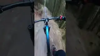 Llandegla Black Route | Boardwalk Section