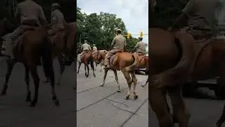 Delhi Police on Horse