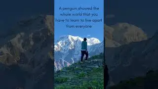 walk alone #penguin #penguins #reels #trending #movitional #reelsvideo #postviral #alone #alonetime