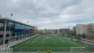 Bear Down Field