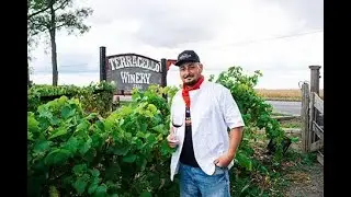 Terracello Winery