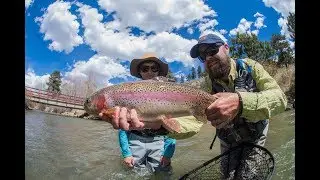 5280 Angler Fly Fishing Tips - Land Trout Head First