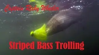 Striped Bass Trolling (Captain Ricky Wheeler Ep8 2014)