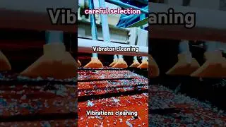 #careful #selection #motor #connection #cleaning #installation #tools #life #mechanic #motorstarter