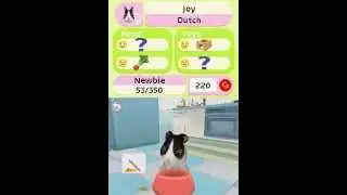 Petz Bunnyz Bunch DS gameplay NO COMMENTARY