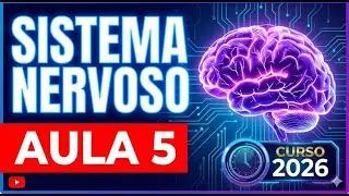 Aula 5 SN O 