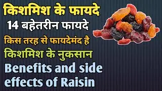किशमिश के फायदे और नुकसान || Benefits and side effects of raisins in Hindi || MedHealth Support