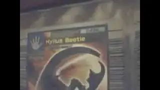 Selling King Of Bettles, Mushiking cards.