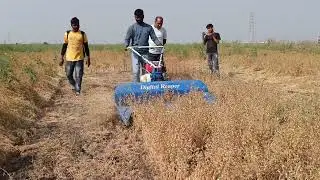 Black Gram Harvesting Demo   9981817652