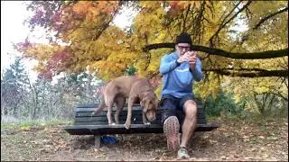 Single Leg Sit to Stand