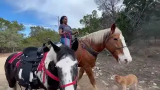Jan '26 Pony Training