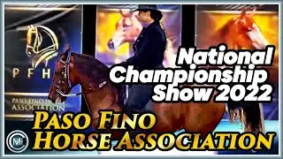 Show de Caballos de Paso Fino en el 50 aniversario del PFHA Ocala, FL.