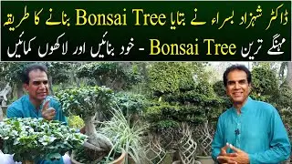 How to easily make a Bonsai Tree | Make Bonsai Tree & Earn Million of Rupees | Dr Shahzad Basra